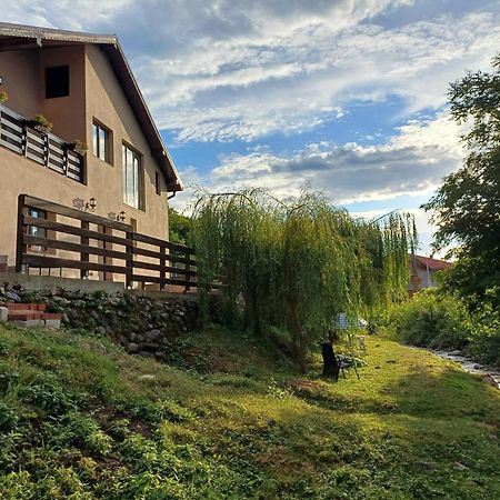 Апартаменти Casa Radu Новачі-Страіні Екстер'єр фото