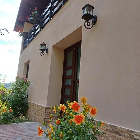 Апартаменти Casa Radu Новачі-Страіні Екстер'єр фото