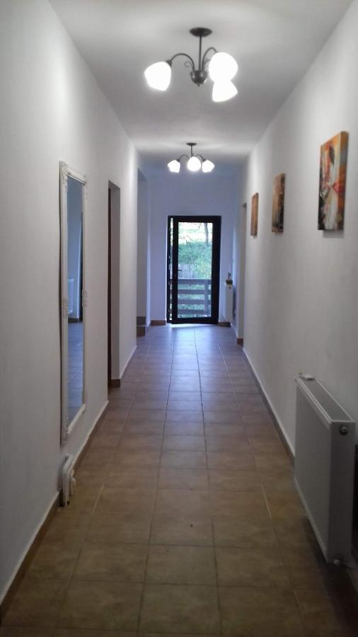 Апартаменти Casa Radu Новачі-Страіні Екстер'єр фото