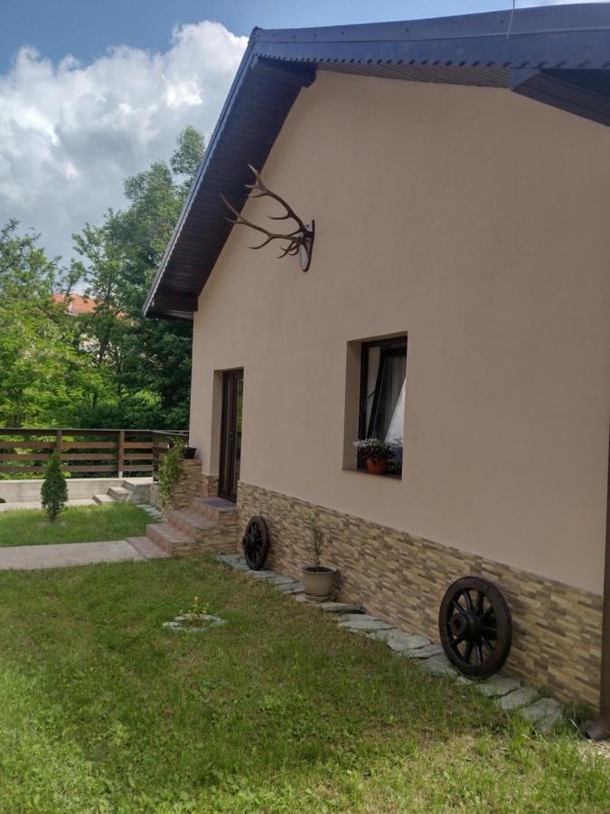 Апартаменти Casa Radu Новачі-Страіні Екстер'єр фото