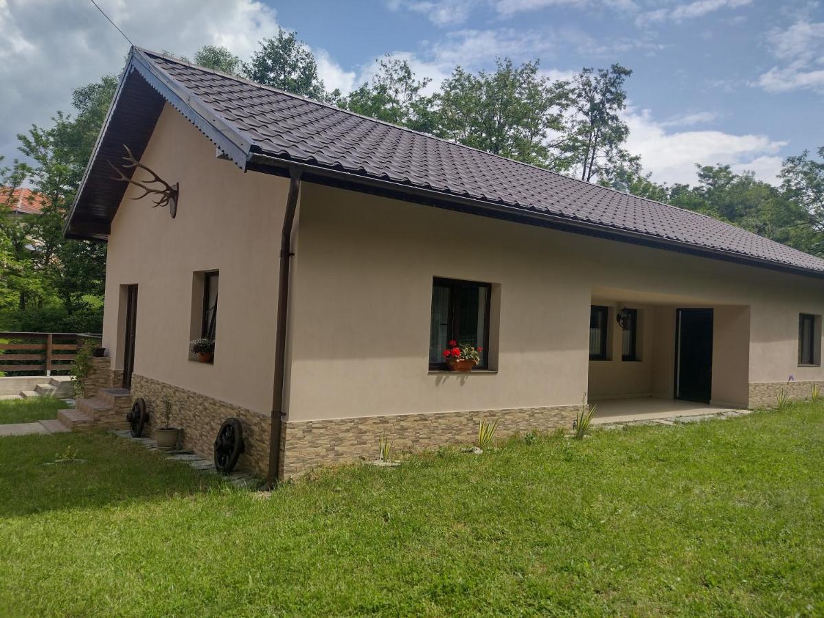 Апартаменти Casa Radu Новачі-Страіні Екстер'єр фото