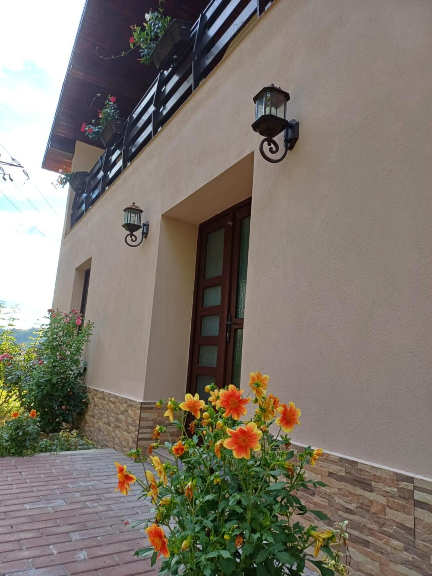 Апартаменти Casa Radu Новачі-Страіні Екстер'єр фото