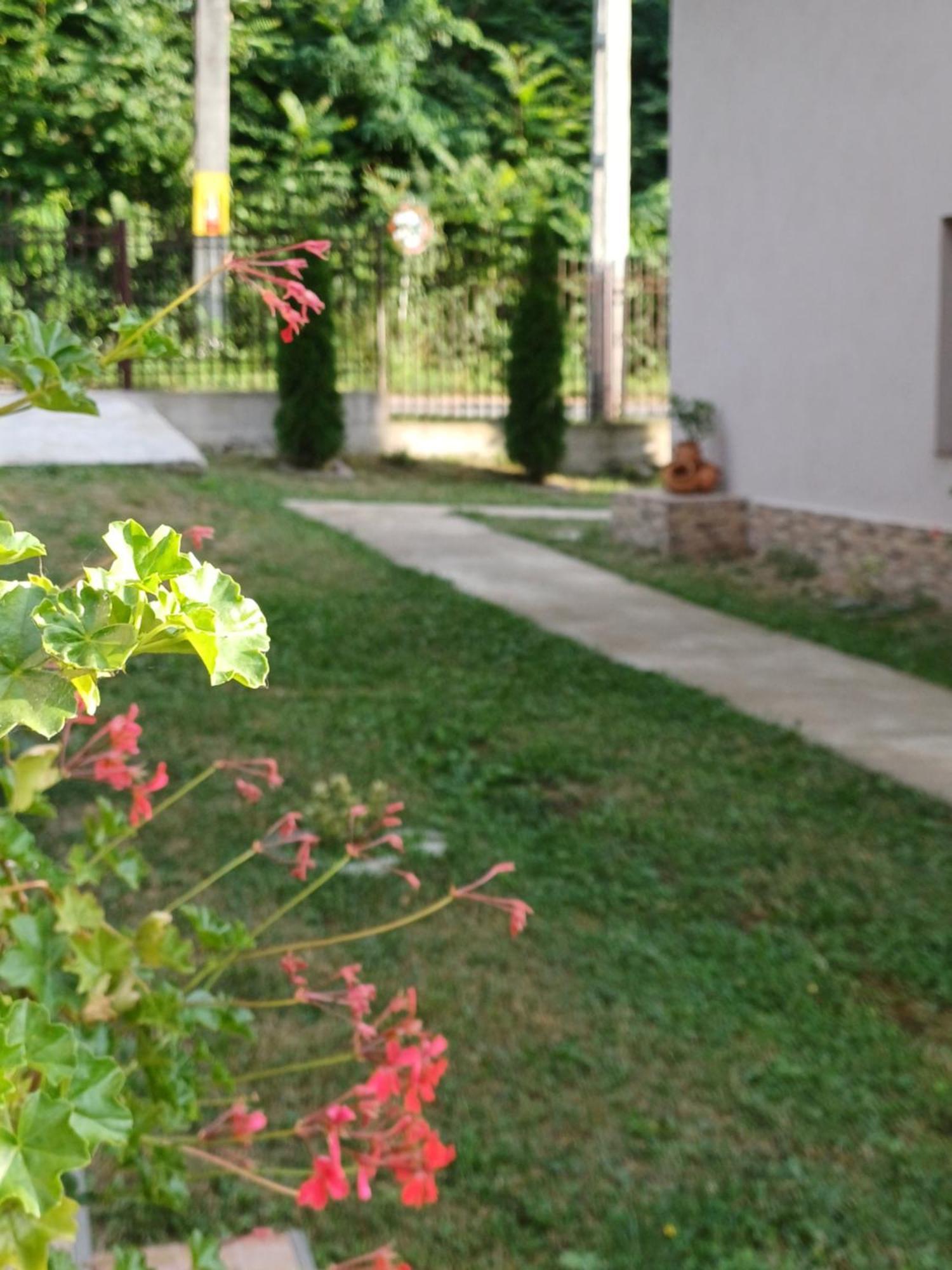 Апартаменти Casa Radu Новачі-Страіні Екстер'єр фото
