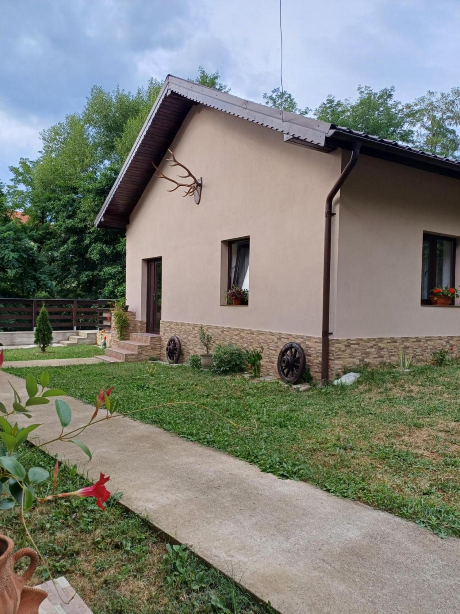 Апартаменти Casa Radu Новачі-Страіні Екстер'єр фото