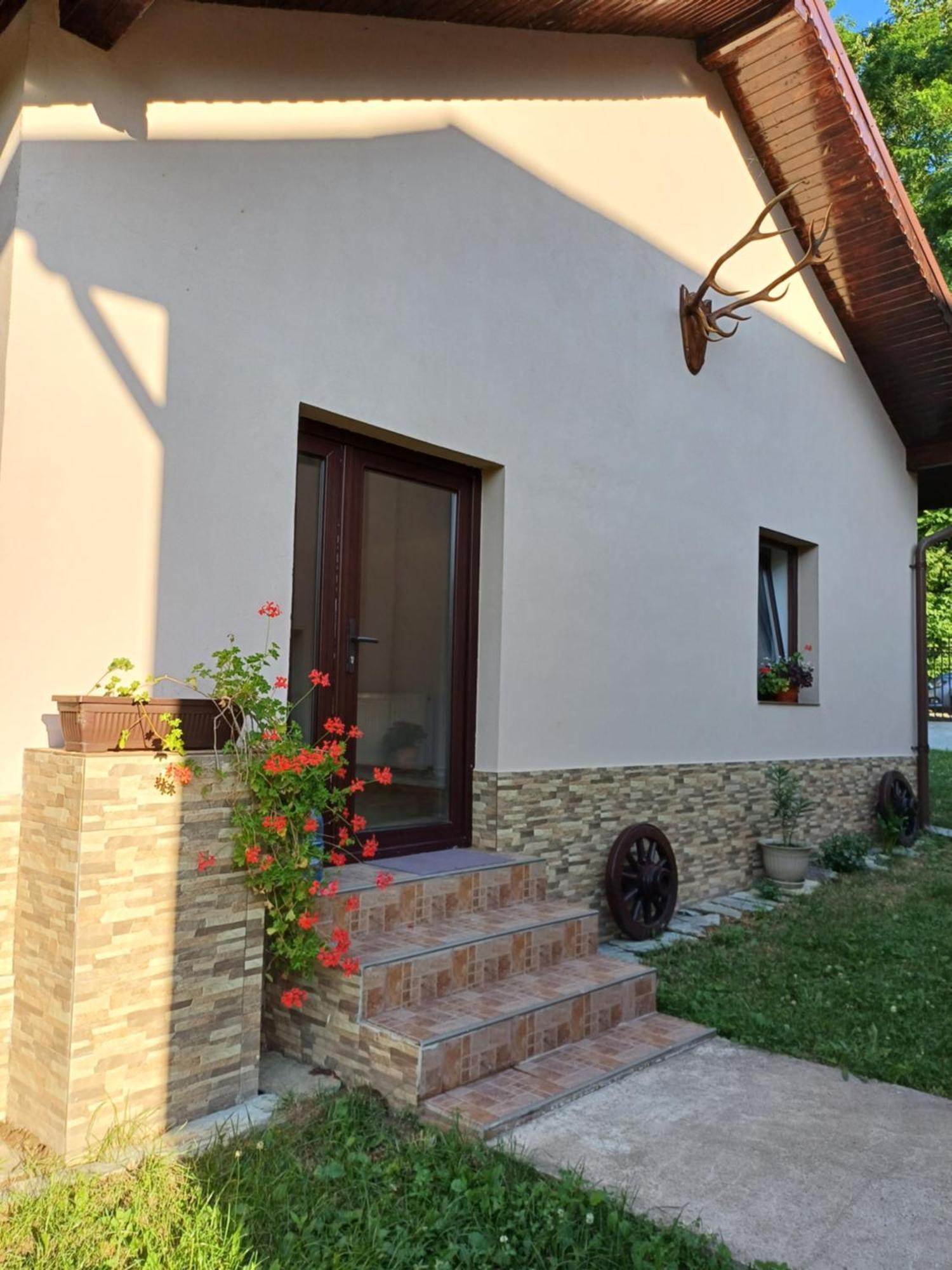 Апартаменти Casa Radu Новачі-Страіні Екстер'єр фото