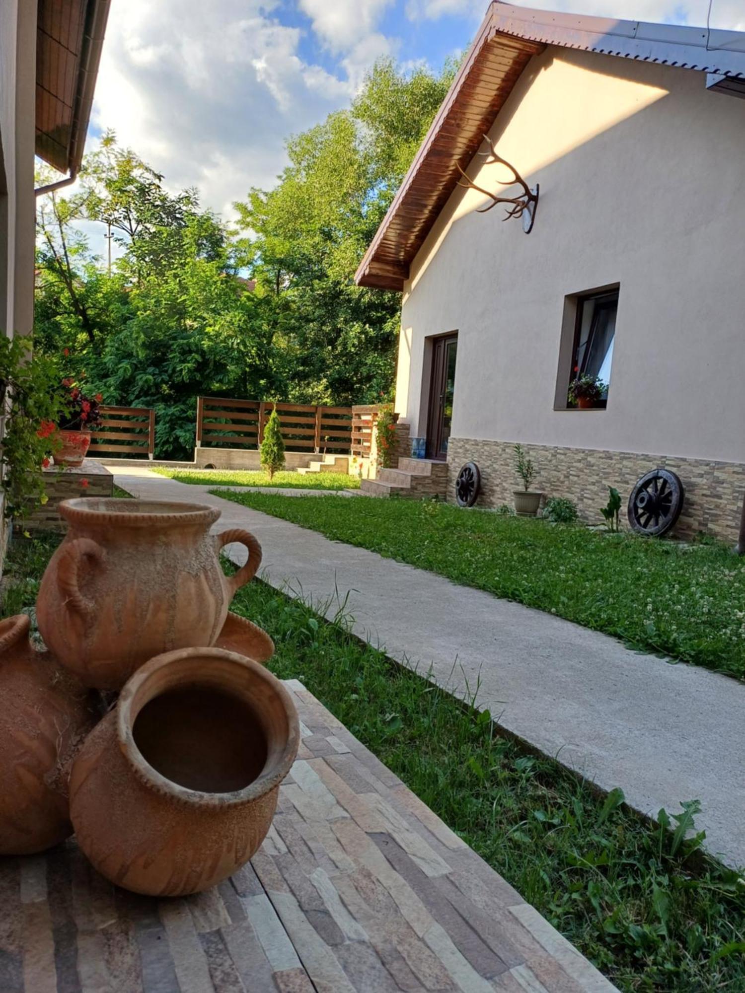 Апартаменти Casa Radu Новачі-Страіні Екстер'єр фото