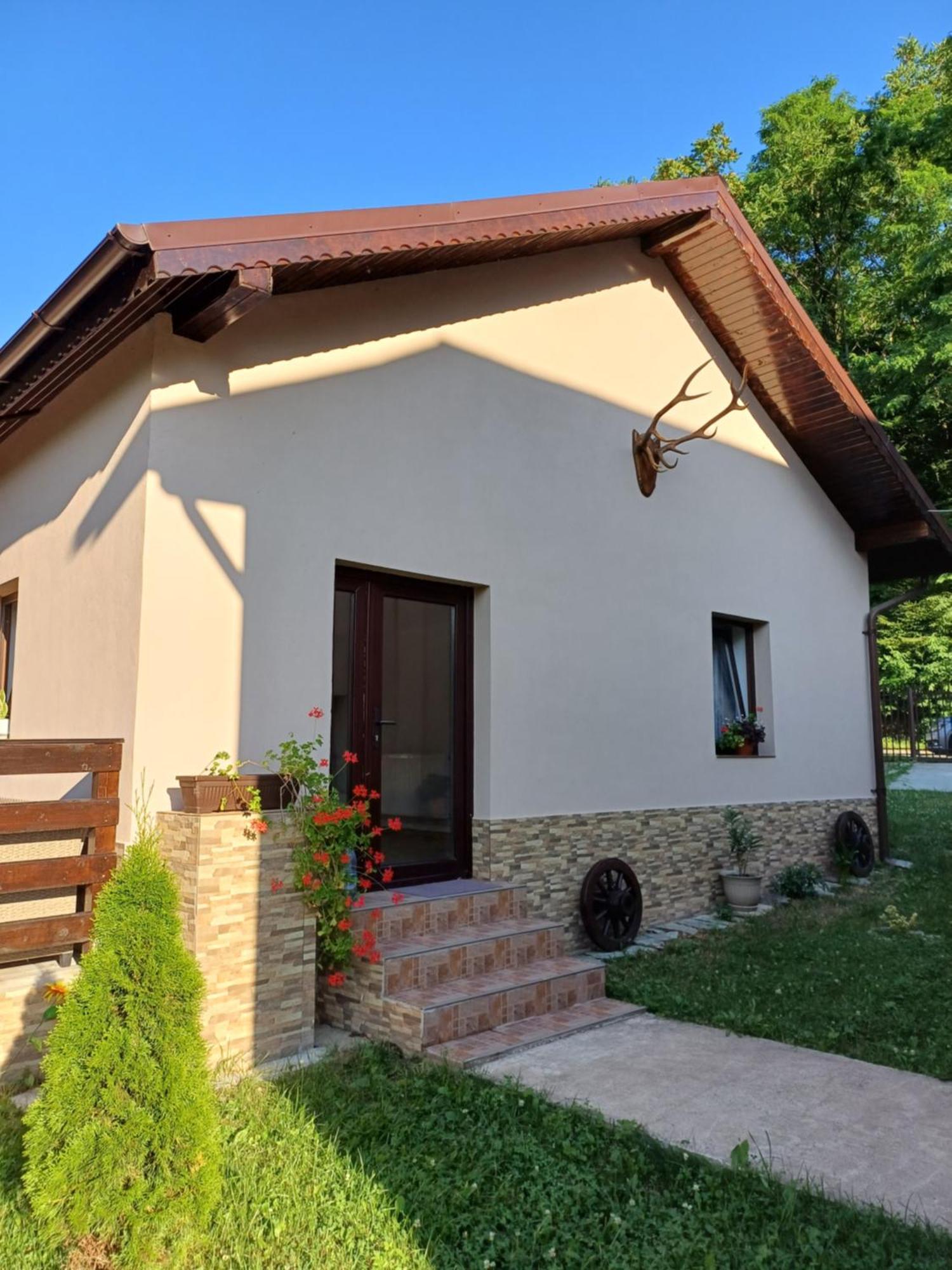 Апартаменти Casa Radu Новачі-Страіні Екстер'єр фото