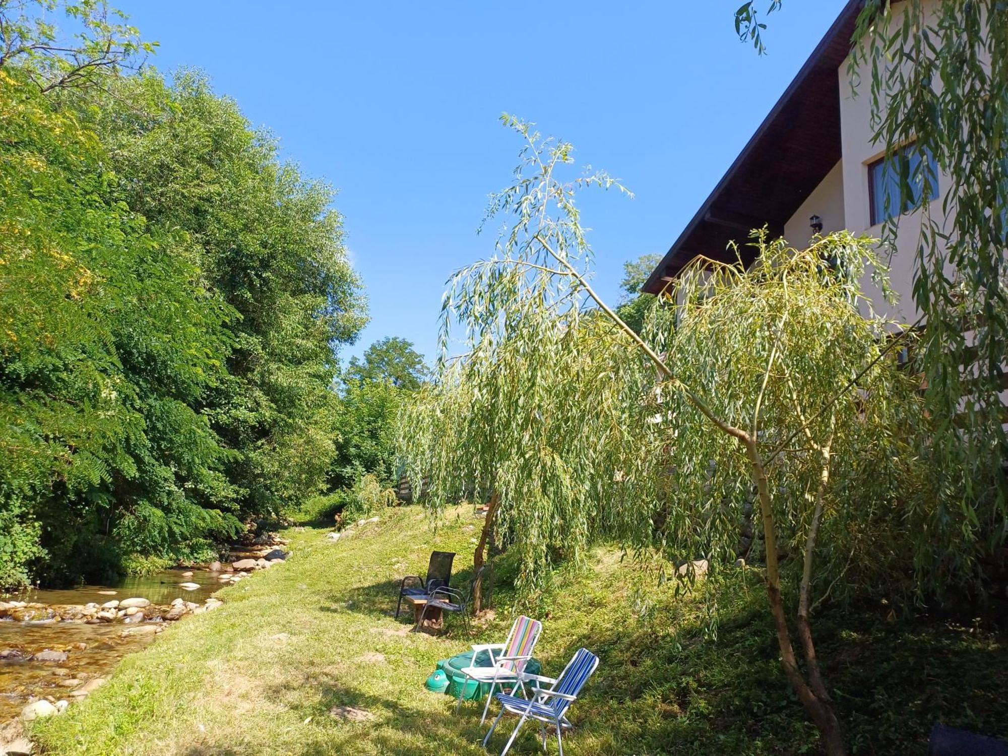 Апартаменти Casa Radu Новачі-Страіні Екстер'єр фото